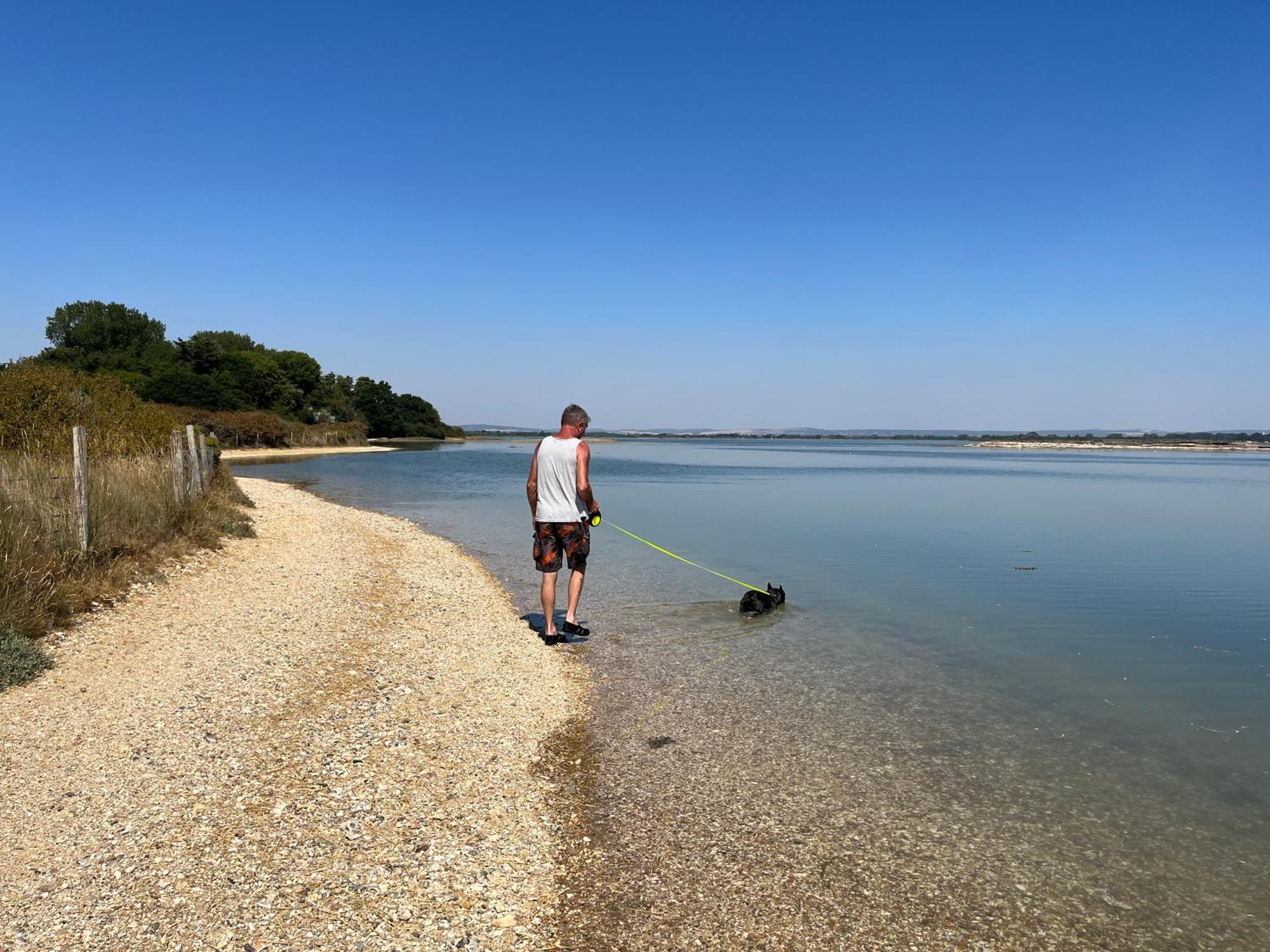 Stay At 'The Elms' In Tranquil Church Norton, Selsey - Ground Floor Bedroom, Own Private Bathroom, Quiet Beach, 2 Acre Garden By The Sea, On Edge Of Wildlife Nature Reserve Exteriör bild