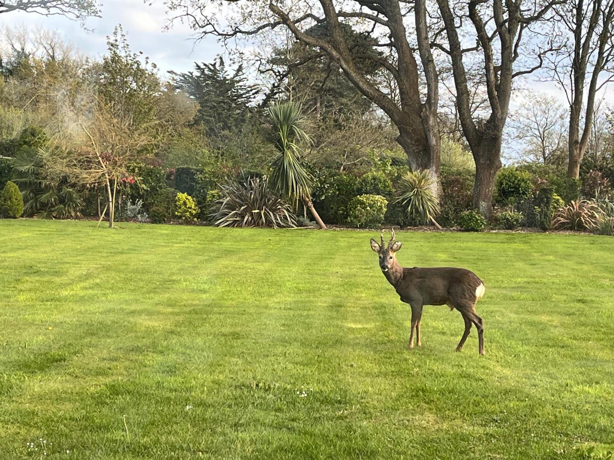 Stay At 'The Elms' In Tranquil Church Norton, Selsey - Ground Floor Bedroom, Own Private Bathroom, Quiet Beach, 2 Acre Garden By The Sea, On Edge Of Wildlife Nature Reserve Exteriör bild