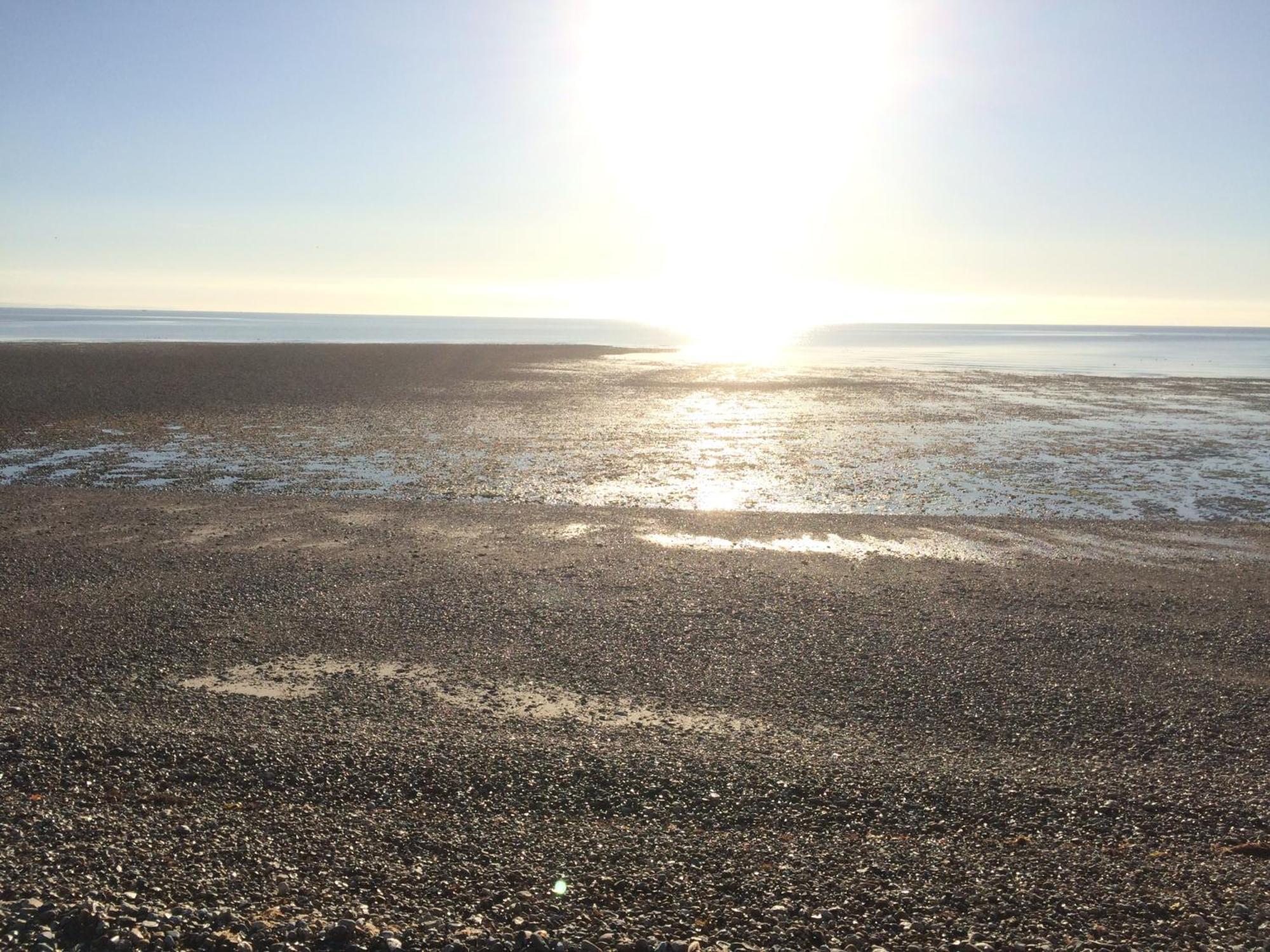 Stay At 'The Elms' In Tranquil Church Norton, Selsey - Ground Floor Bedroom, Own Private Bathroom, Quiet Beach, 2 Acre Garden By The Sea, On Edge Of Wildlife Nature Reserve Exteriör bild