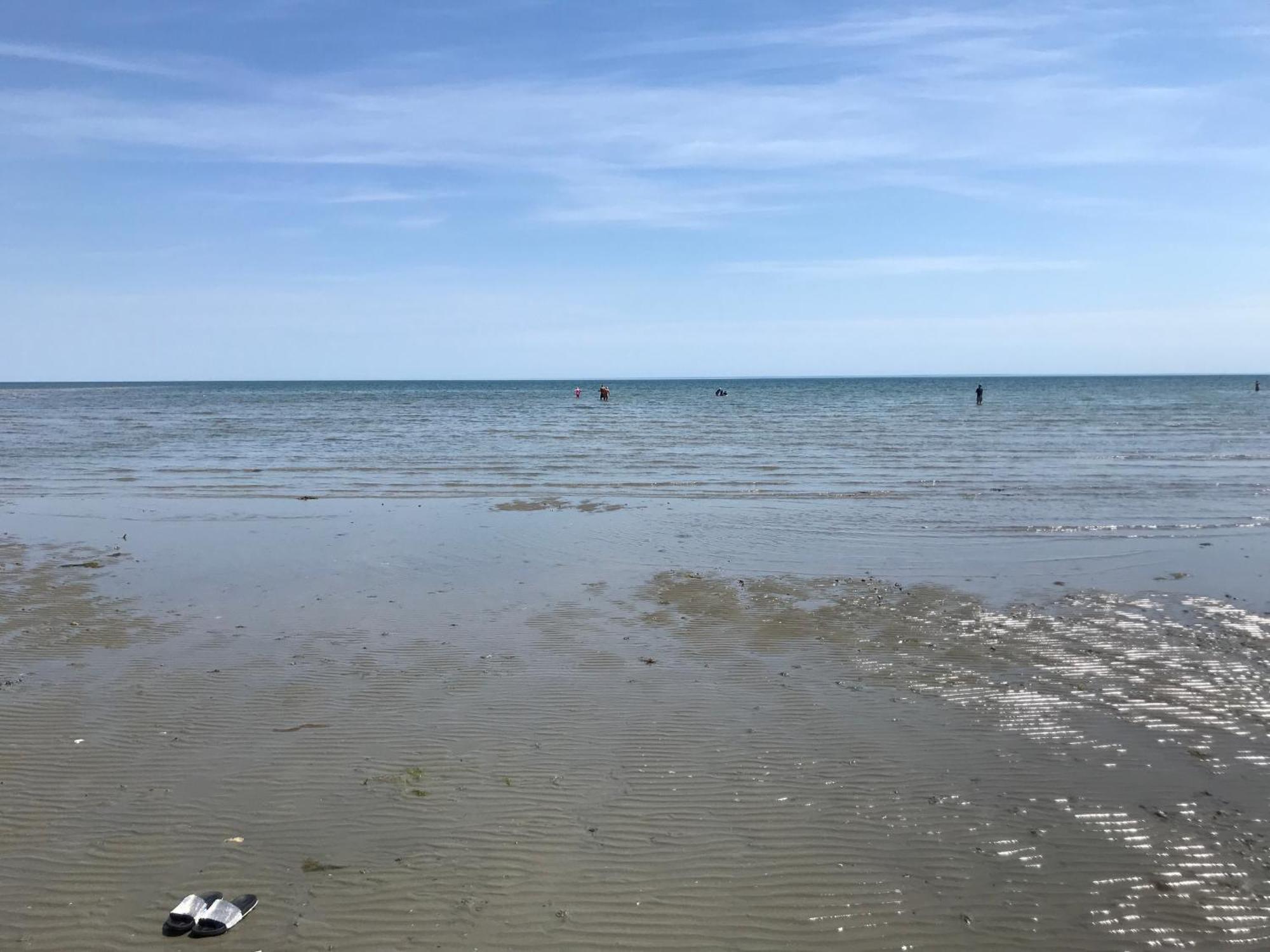 Stay At 'The Elms' In Tranquil Church Norton, Selsey - Ground Floor Bedroom, Own Private Bathroom, Quiet Beach, 2 Acre Garden By The Sea, On Edge Of Wildlife Nature Reserve Exteriör bild